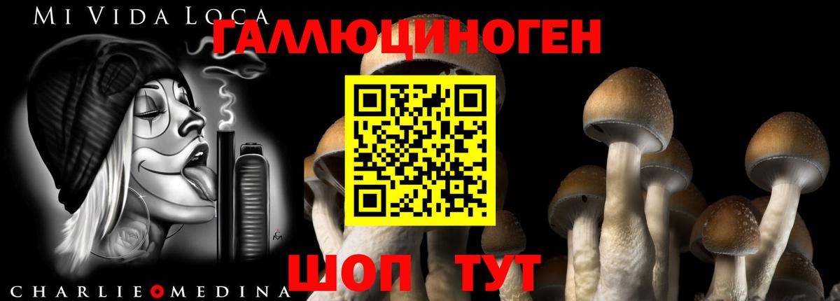 Псилоцибиновые грибы мицелий Магнитогорск
